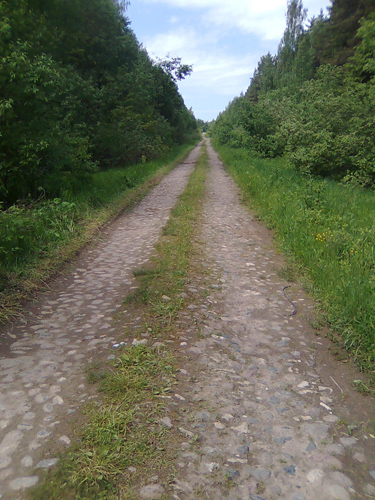 ����� ���������� �������� Nokia 3120 classic