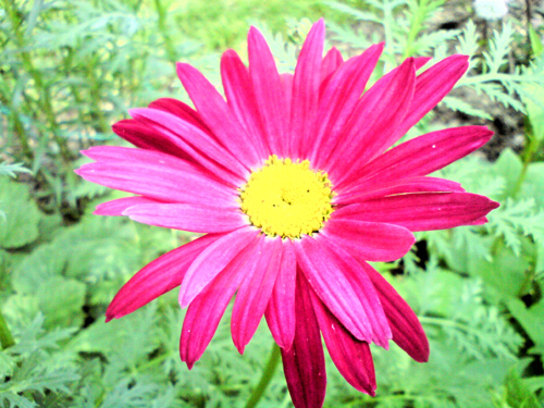 ����� ���������� �������� Sony Ericsson C702