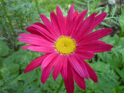 Обзор мобильного телефона Sony Ericsson C702