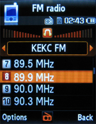 Обзор мобильного телефона Samsung L700