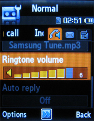Обзор мобильного телефона Samsung L700