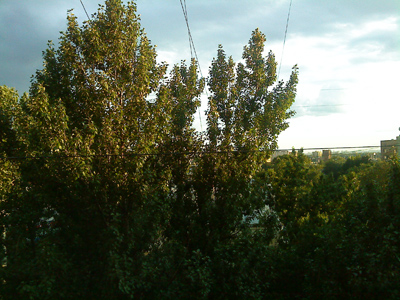 ����� ���������� �������� Sony Ericsson W980