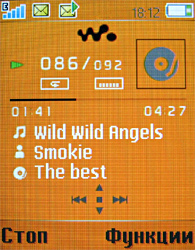 Обзор мобильного телефона Sony Ericsson W350