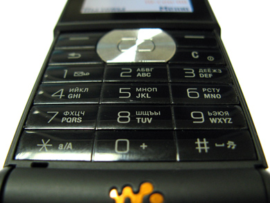    Sony Ericsson W350