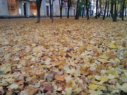 ����� ������������� HTC Touch Pro