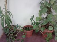 ��������������� ����� LG KM900 Arena: ������� ��� iPhone, ������� ����� iPhone