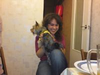   Sony Ericsson W995.  Walkman  8 