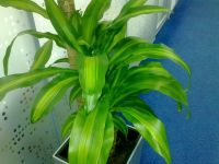   Nokia 5730.  XpressMusic  QWERTY