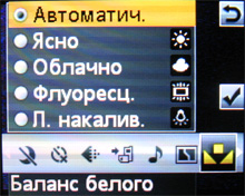 Обзор мобильного телефона Sony Ericsson W395