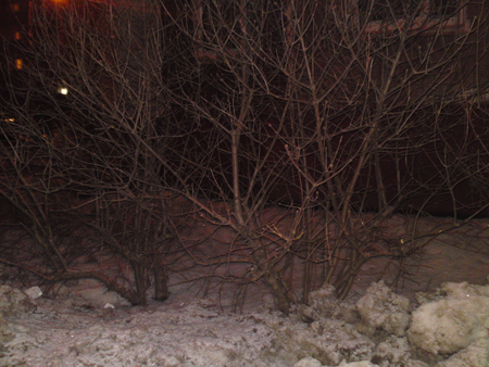 ����� ���������� Sony Ericsson C905 Cyber-shot