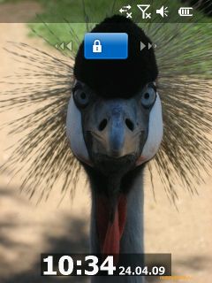    Windows Mobile 6.5: RoverPC Pro G7