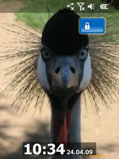    Windows Mobile 6.5: RoverPC Pro G7