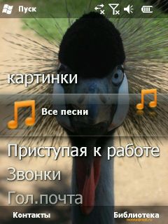    Windows Mobile 6.5: RoverPC Pro G7