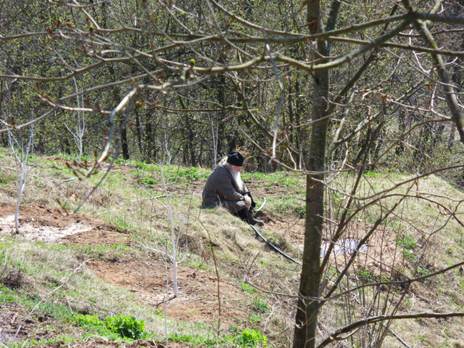 Обзор цифрового фотоаппарата Samsung WB550 Обзор цифрового фотоаппарата Samsung WB550