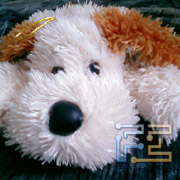 Mio Leap G50.      GPS