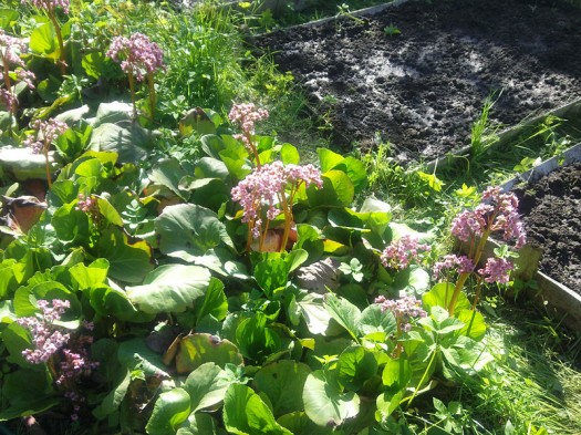  Samsung GT-S8300 UltraTouch:  