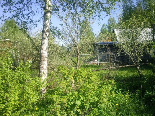  Samsung GT-S8300 UltraTouch:  