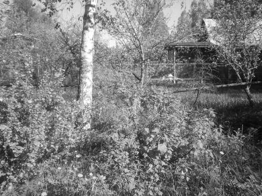  Samsung GT-S8300 UltraTouch:  