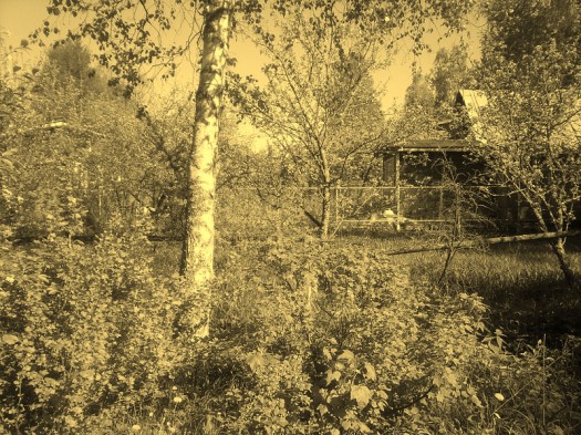  Samsung GT-S8300 UltraTouch:  