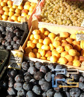  Samsung S5600  S5230.     