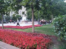 Samsung M8910 PIXON12