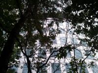 Samsung I7500 Galaxy