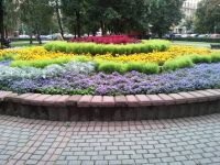 Samsung I7500 Galaxy