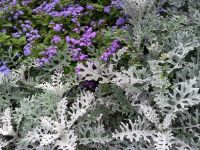 Samsung I7500 Galaxy