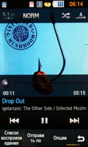 Samsung M8910 Pixon12