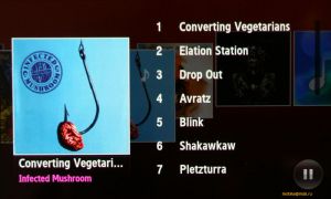 Samsung M8910 Pixon12