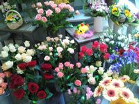 Samsung M8910 Pixon12