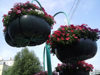 Samsung M8910 Pixon12