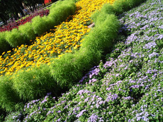 Samsung M8910 Pixon12