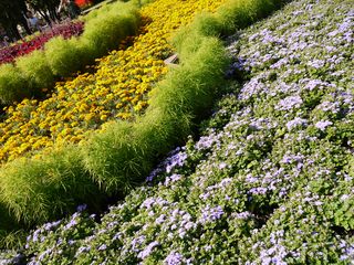 Samsung M8910 Pixon12