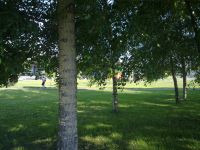 Nokia N86 8MP  Sony Ericsson W995