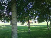 Nokia N86 8MP  Sony Ericsson W995