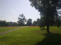 Nokia N86 8MP  Sony Ericsson W995