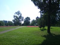 Nokia N86 8MP  Sony Ericsson W995