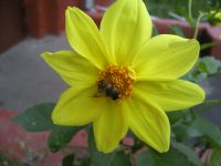 Samsung i8510 INNOV8 (8Gb)