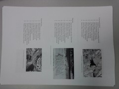 ����� LG GS290 Cookie Fresh: ��������� ��������� � ����� ���������