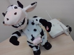 ����� LG GS290 Cookie Fresh: ��������� ��������� � ����� ���������