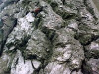 Nokia 7610 Supernova