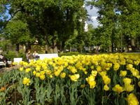 ����� X10 mini ��� Mforum.ru ����, �� ����