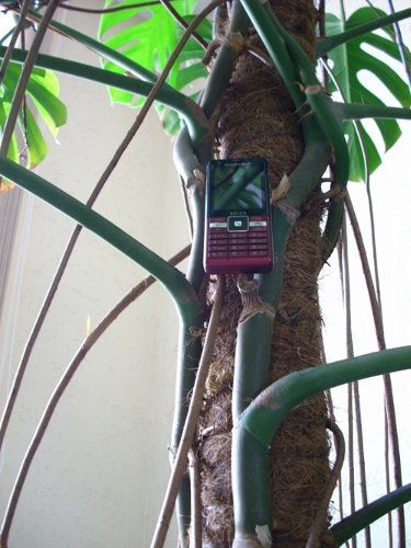  Sony Ericsson Naite (J105)