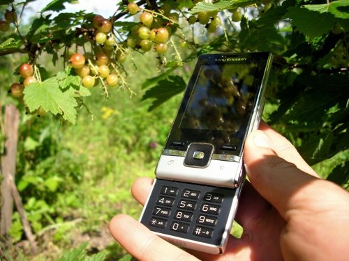  Sony Ericsson T715