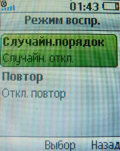 ����� ���������� �������� Sony Ericsson T303 � �����-������ 