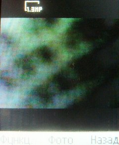 ����� ���������� �������� Sony Ericsson T303 � �����-������ 