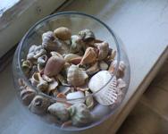 ����� ���������� �������� Sony Ericsson T303 � �����-������