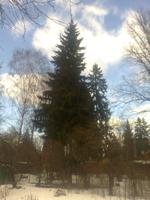 Nokia 7210 Supernova    