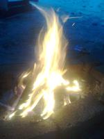 Nokia 7210 Supernova    